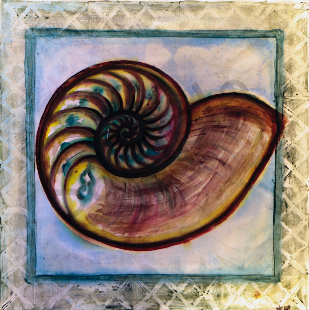 Nautilus Shell Print for Beach on Canvas, Paper and More 