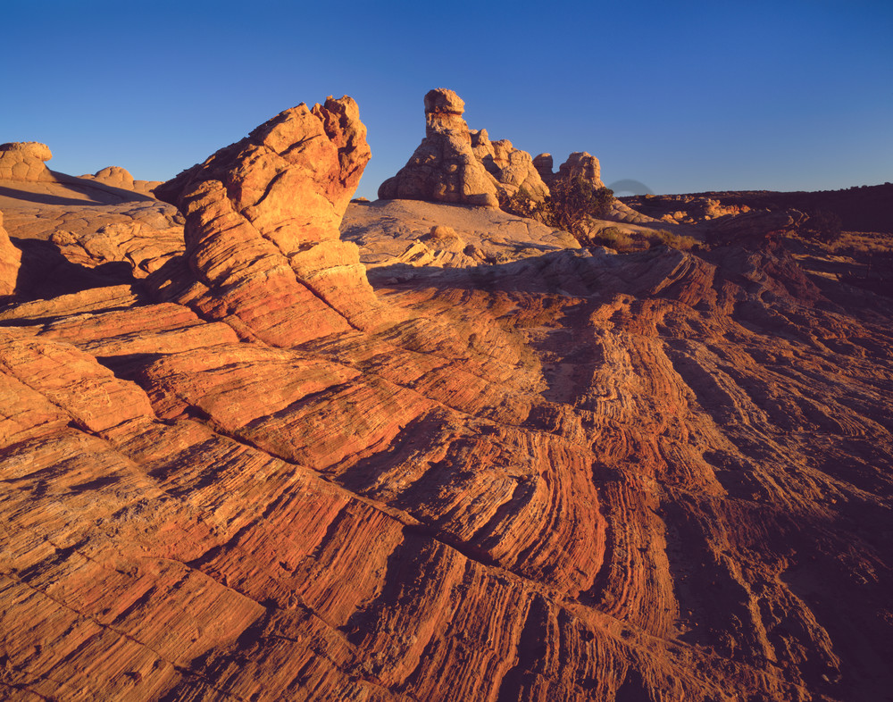  Navajo Sandstone in the Paria Wilderness, Arizona