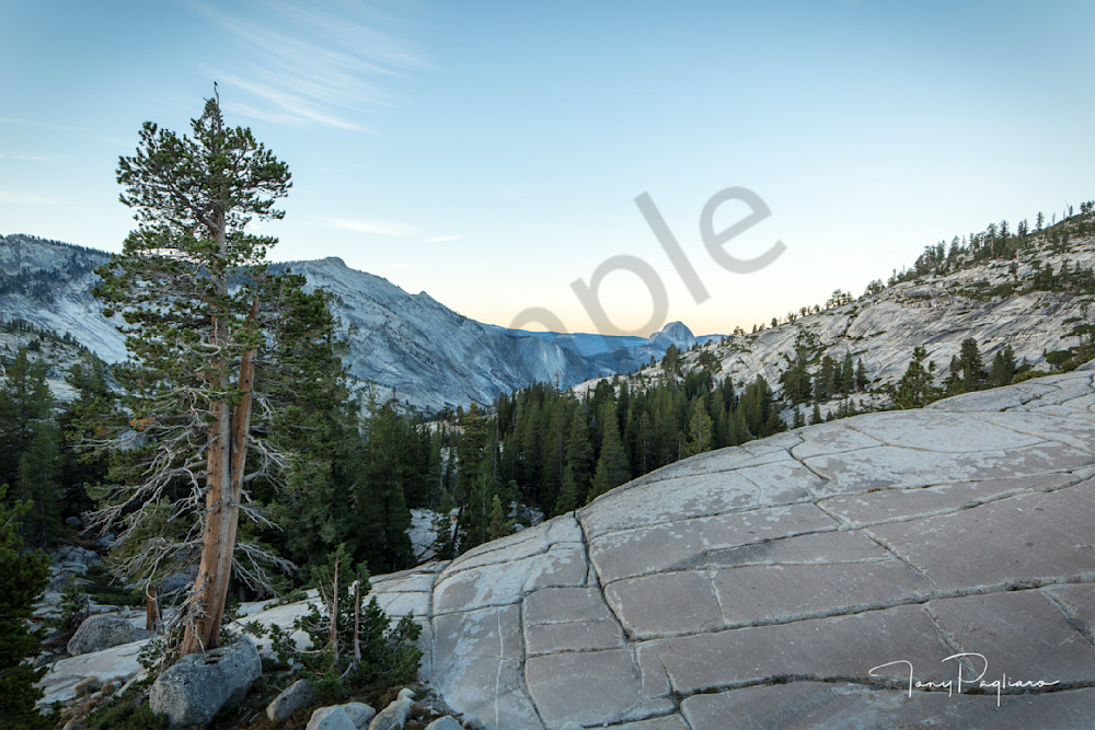 Olmsted Point Photograph for sale as fine art by Tony Pagliaro