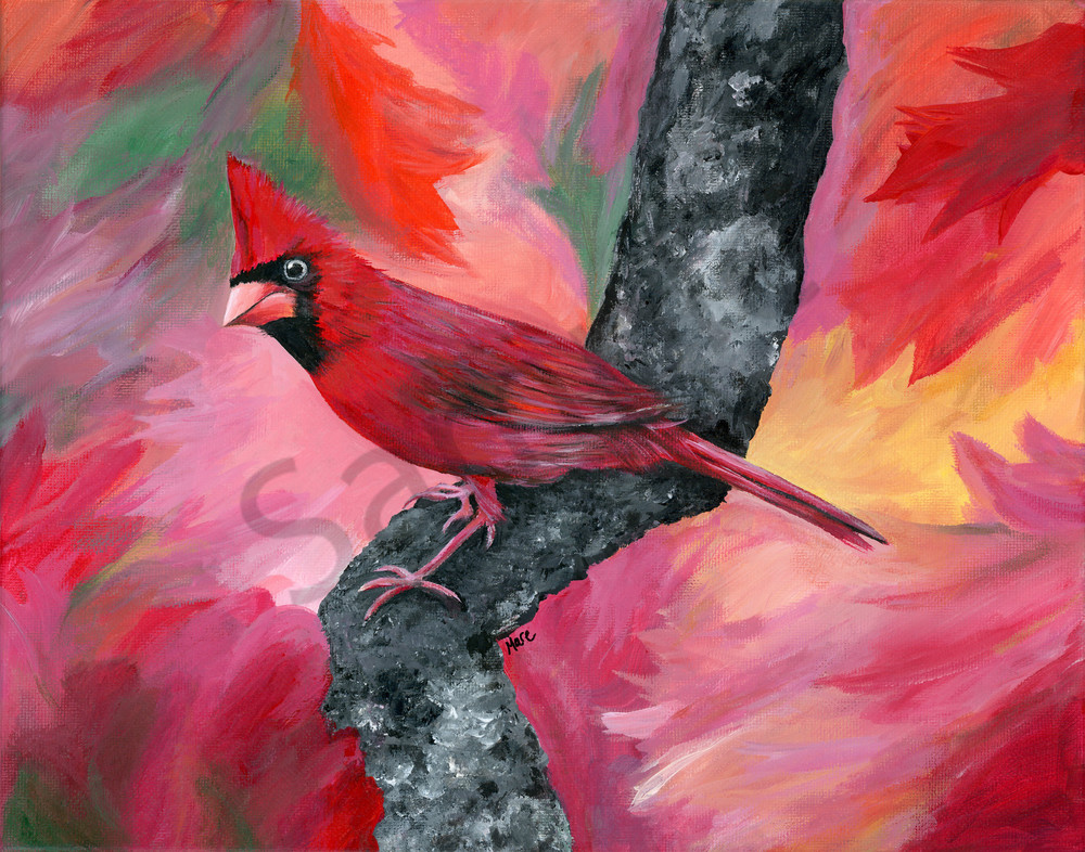 Fine art acrylic painting on canvas by Mary Anne Hjelmfelt of male red cardinal