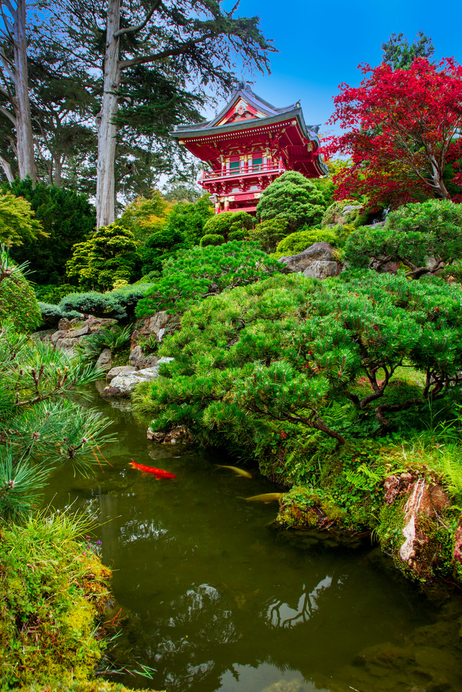Japanese Tea Garden Photography Art | John Martell Photography