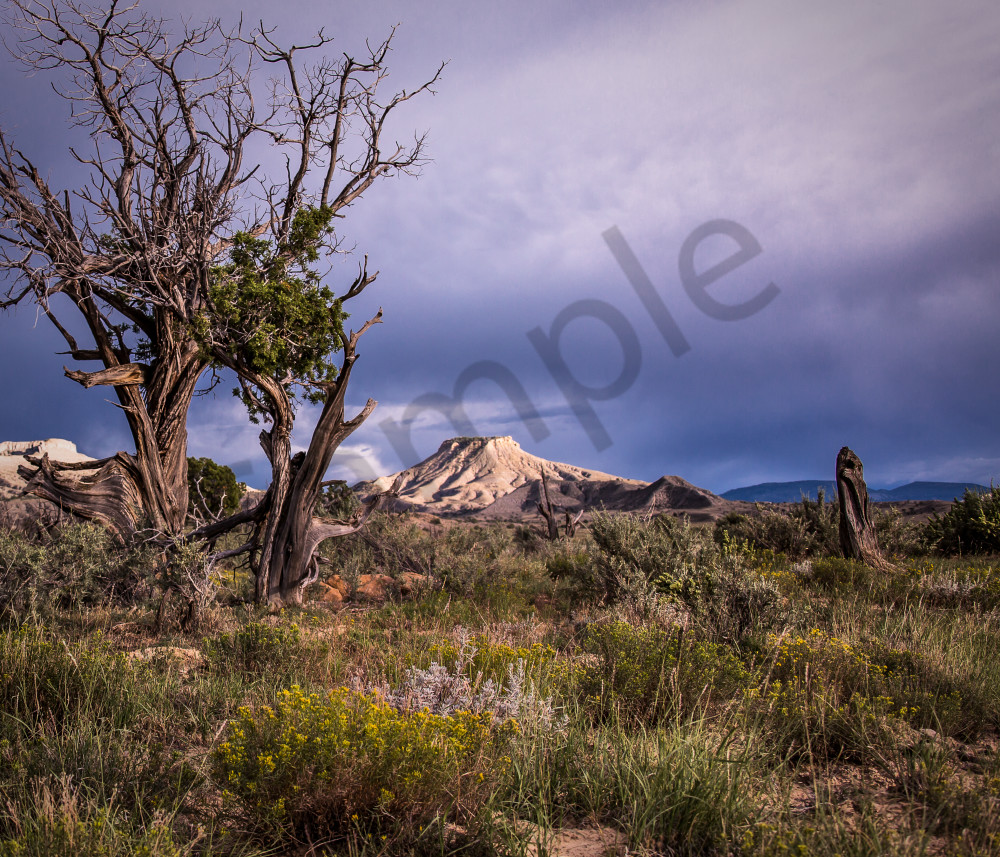 Desert Serenity Photography Art | Mason & Mason Images