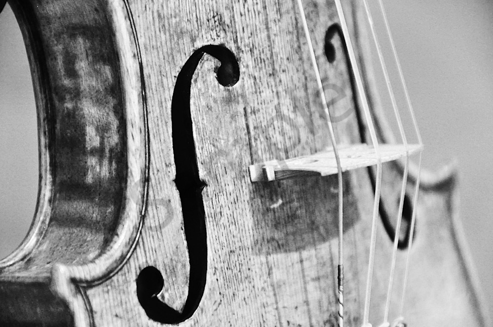 Music XIX (Stradivari)