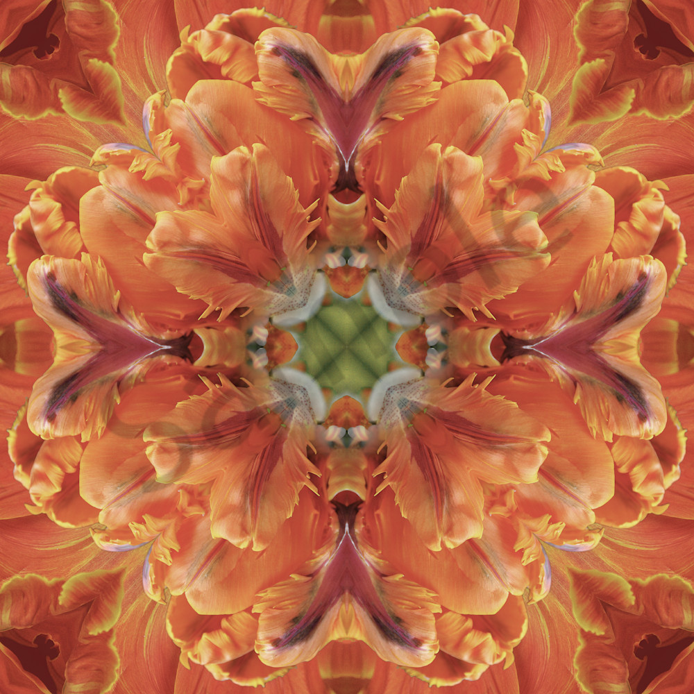 Kaleidoscopic Floral 2.1 (Orange)