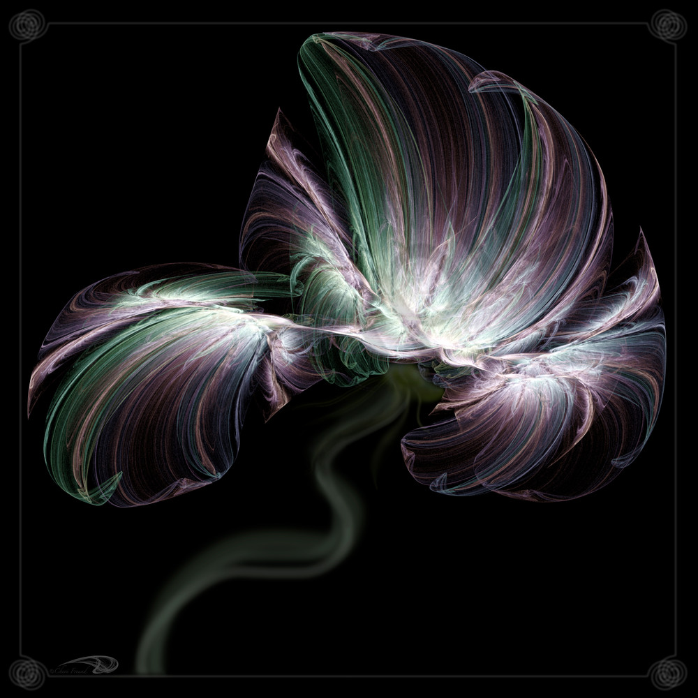 Petal Swirl digital art by Cheri Freund