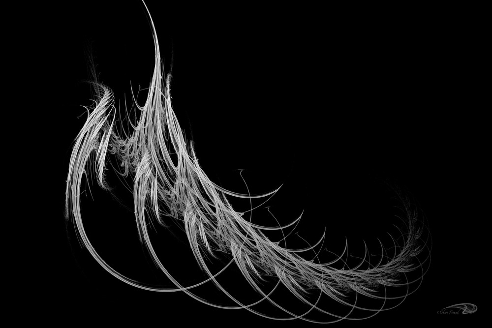 Spine-Less digital skeleton leaf art by Cheri Freund