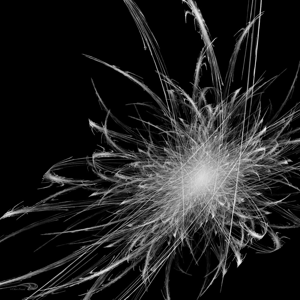 Spiral Weed digital art by Cheri Freund