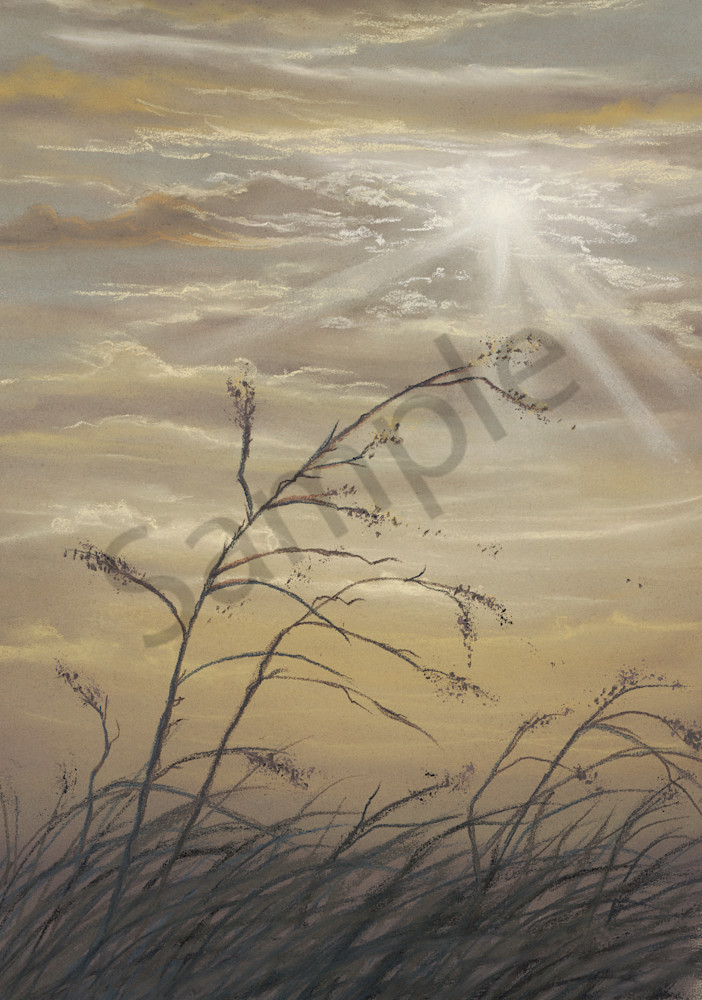 Dusty Day 1 by Jenny Greentree Dusty Day 1 by Jenny Greentree