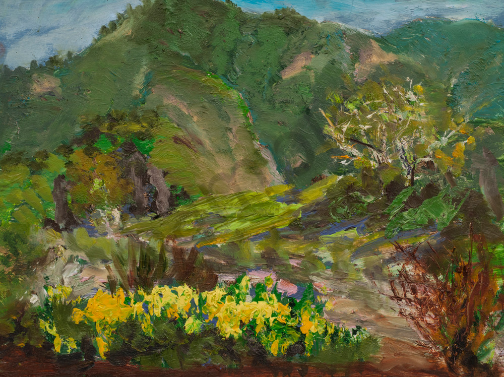 Eaton Canyon Daisies Oil Painting by Mark Hafeman