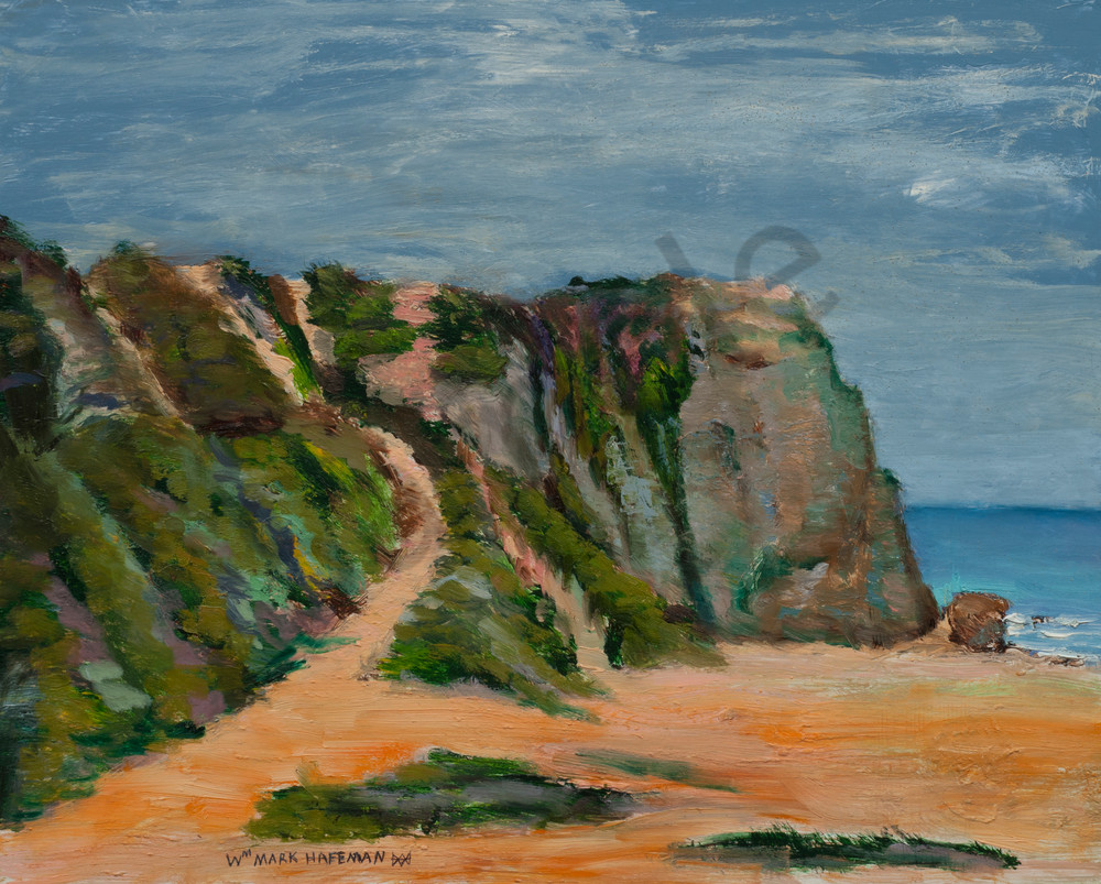 Point Dume Oil Painting by Mark Hafeman