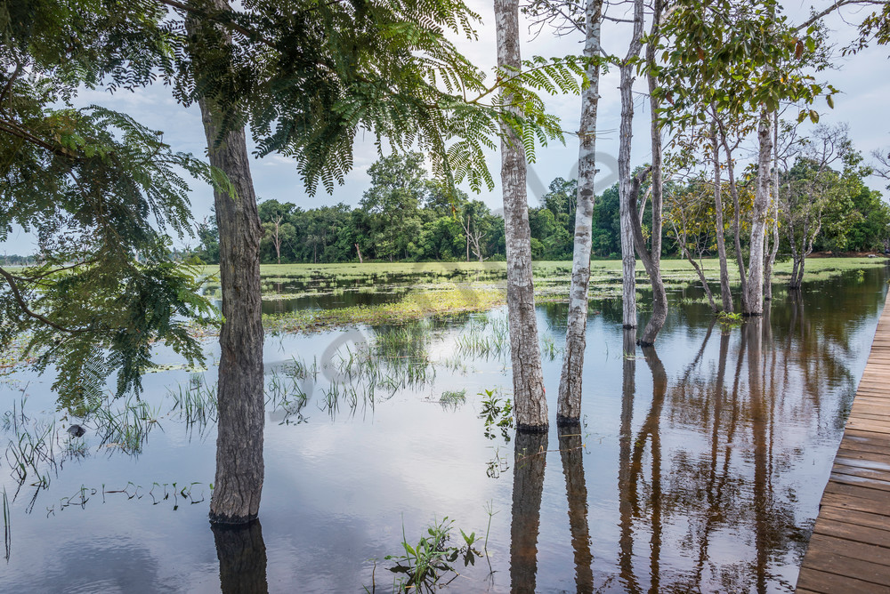 On the Path. The path to Neak Pean in Cambodia On the Path. The path to Neak Pean in Cambodia