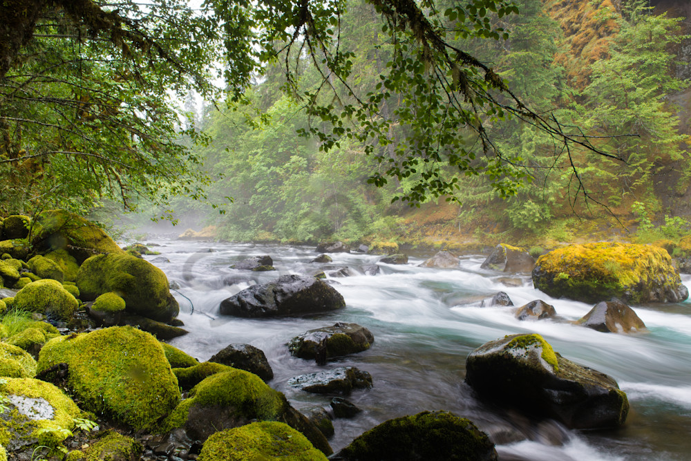 Middle McKenzie River Photo for sale by Barb Gonzalez Photography