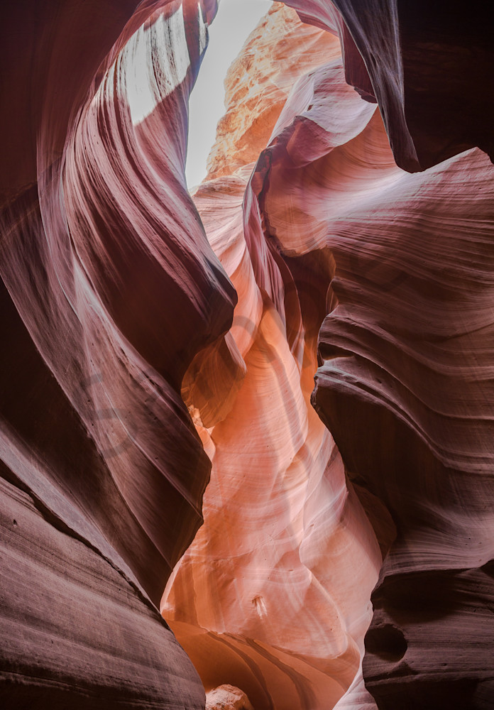 Graceful Antelope Slot Canyon Fine Art Photo in Canvas, Metal, Archival Print