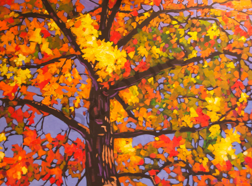 Shop for fine art prints like Autumn Canopy from original oil on canvas painting by Matt McLeod at Matt McLeod Fine Art Gallery. 