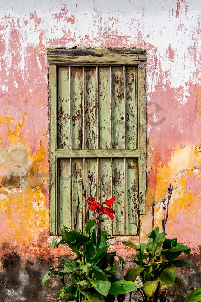 Photograph art print of historic colonial window and wall, Cuba