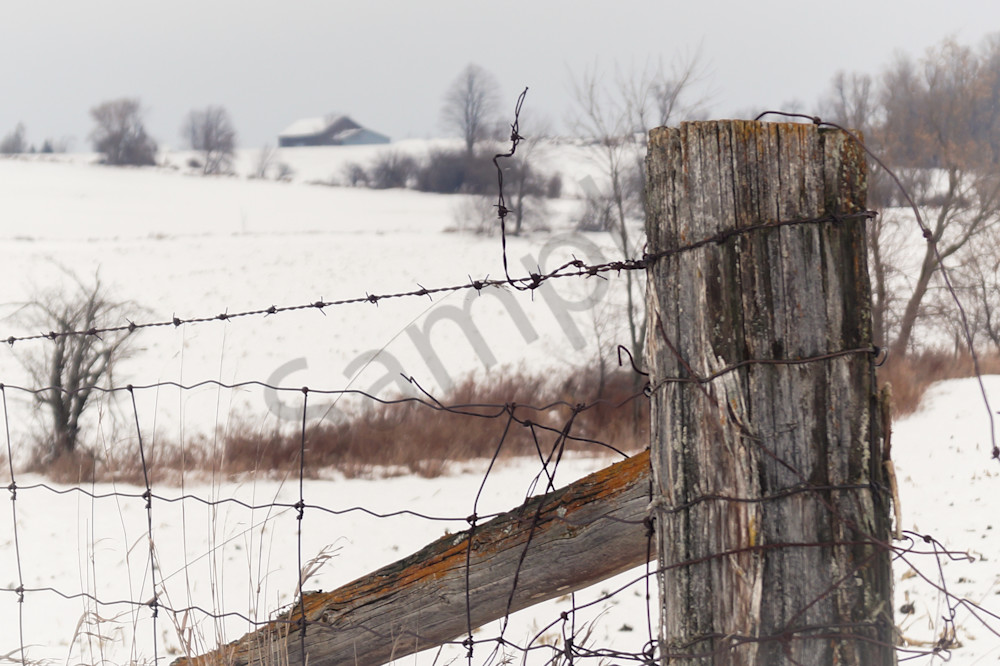 Country Fence Photography Art | Sage & Balm Photography