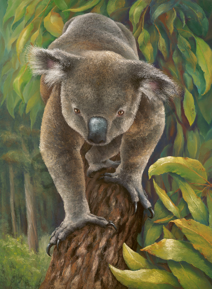Out on a Limb Out on a Limb