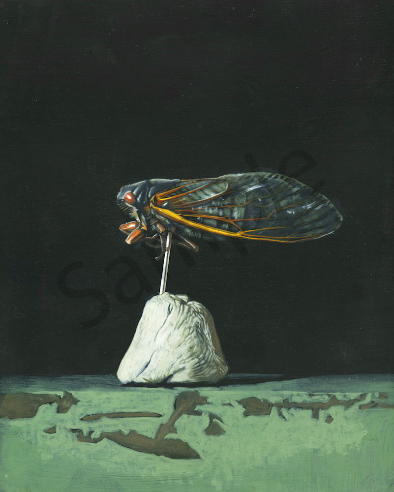 Cicada Art | Warfield Art and Design