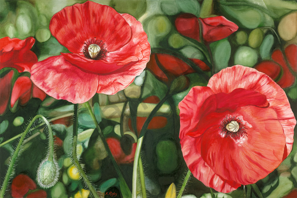 Poppy Passion Poppy Passion