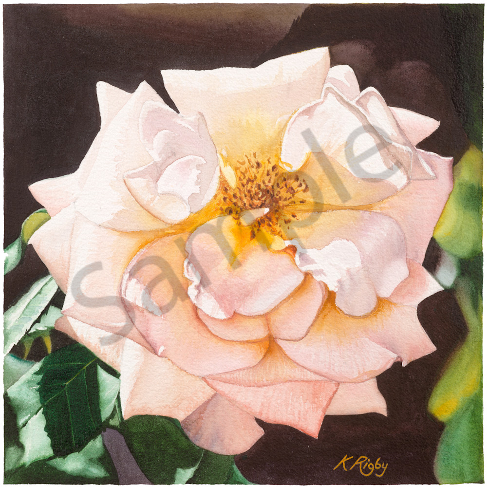 Rose 4 Rose 4