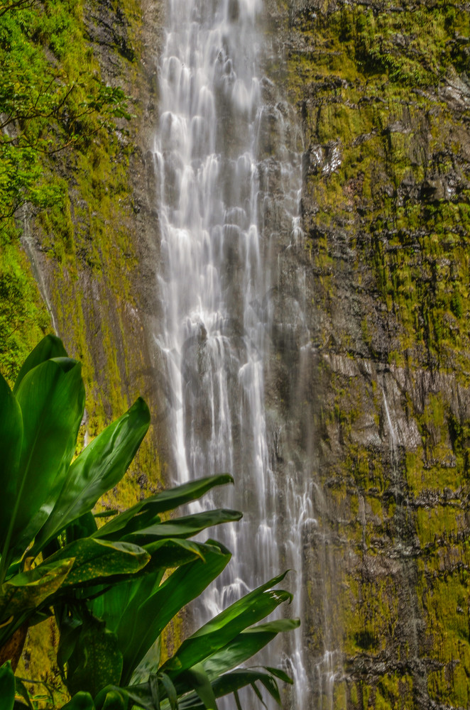 Maui Waterfall 003