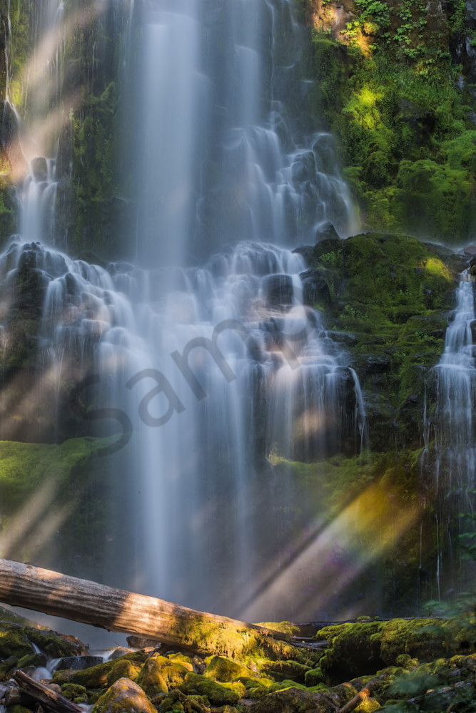 Rainbow and Proxy Falls Photo for sale by Barb Gonzalez Photography