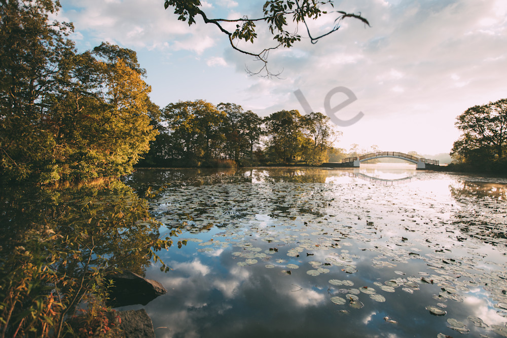 peaceful lake photography with a bridge, travel in Japan photo
