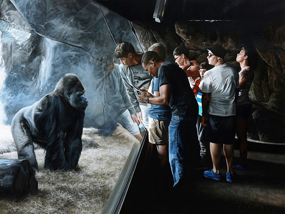 Primates art print | Kevin Grass Fine Art Primates art print | Kevin Grass Fine Art