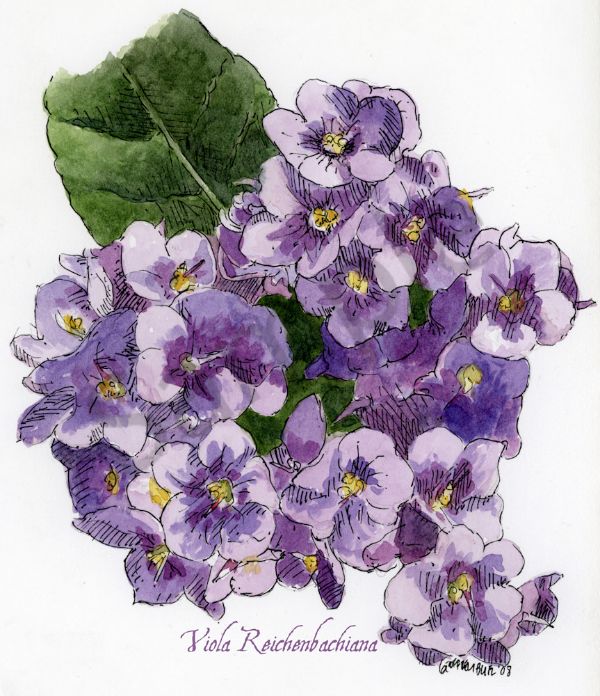 Feb Violet Art | Geoffrey Butz Art & Design Inc