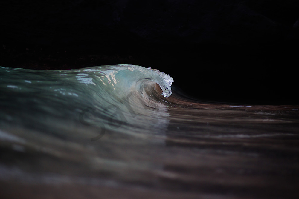 sea horse , waves photo
