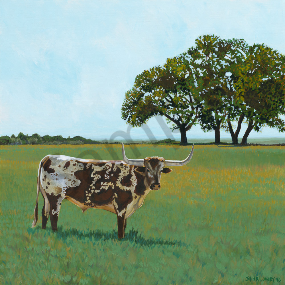 Oak tree and longhorn landscape paintings by John R. Lowery, sold as art prints..