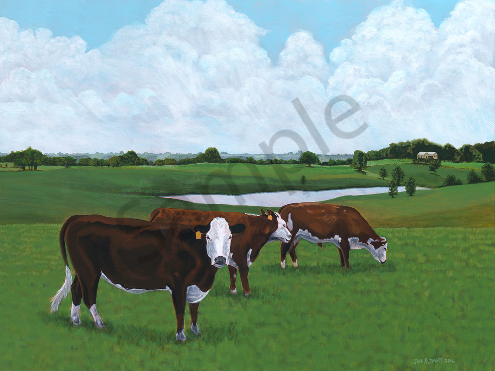 Original painting of three grazing cows in Texas landscape available as art prints.