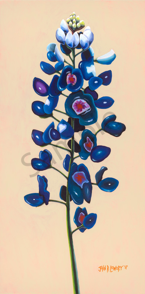 Original painting of a Texas bluebonnet flower for sale as art prints.