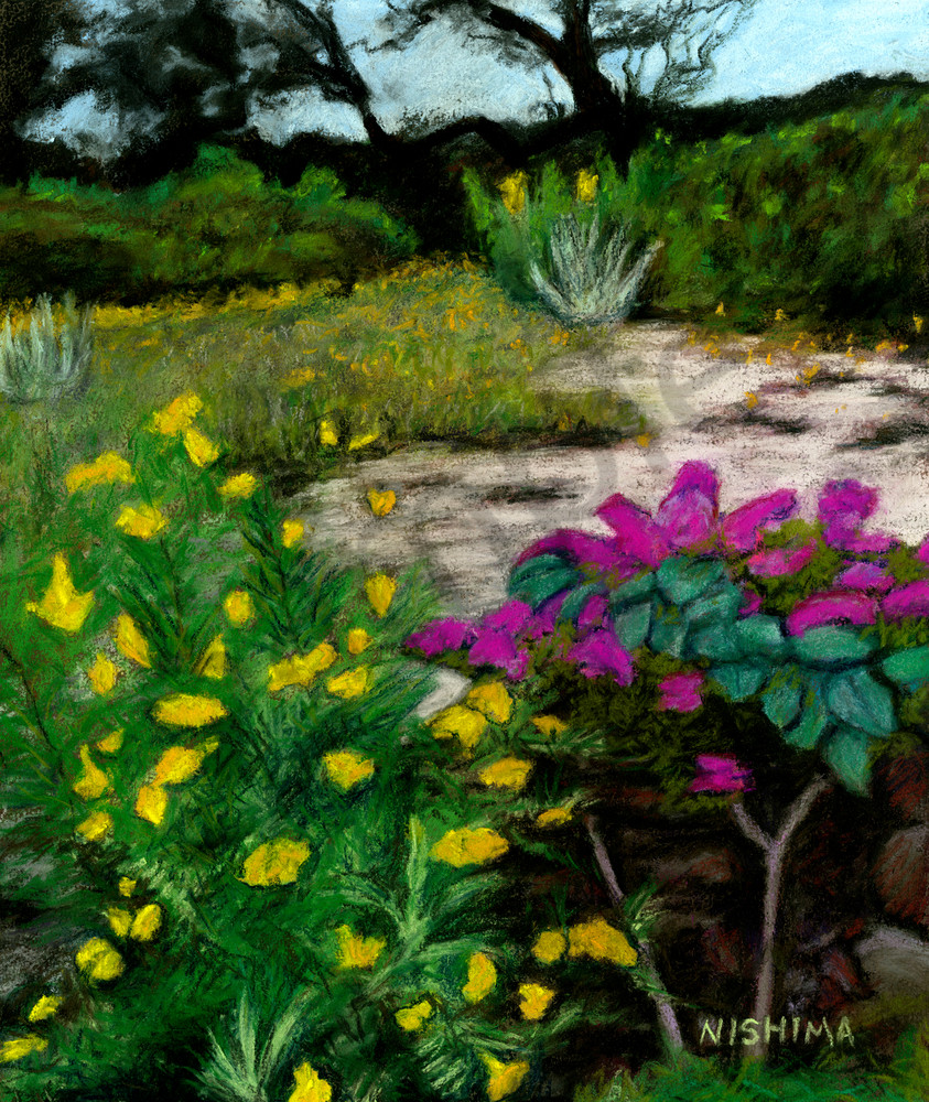 Hill Country Backyard Flowers Art | nishima