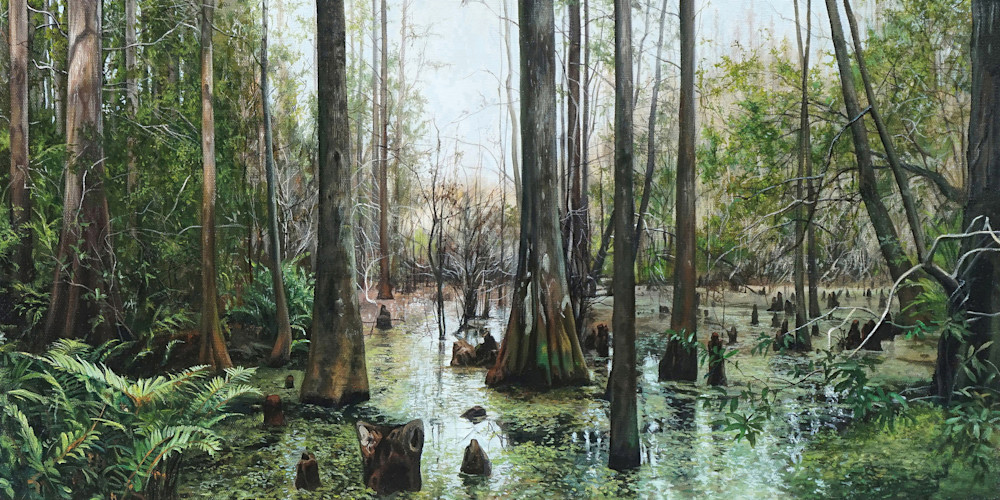 Image result for florida swamp