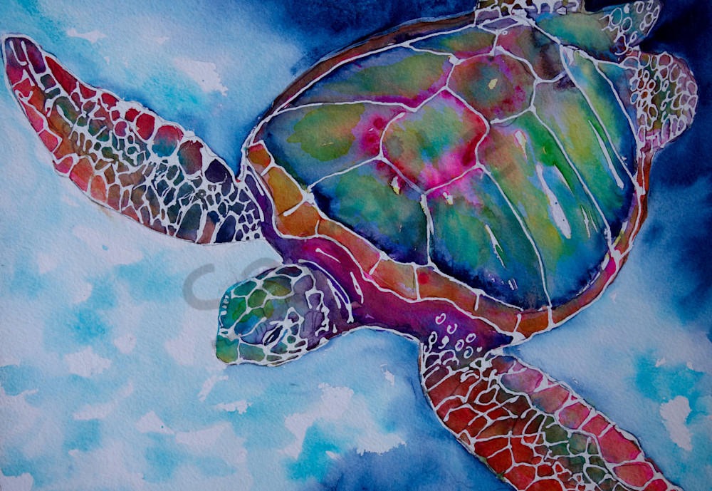 Dustin The Sea Turtle Art | Amy Tigner Art