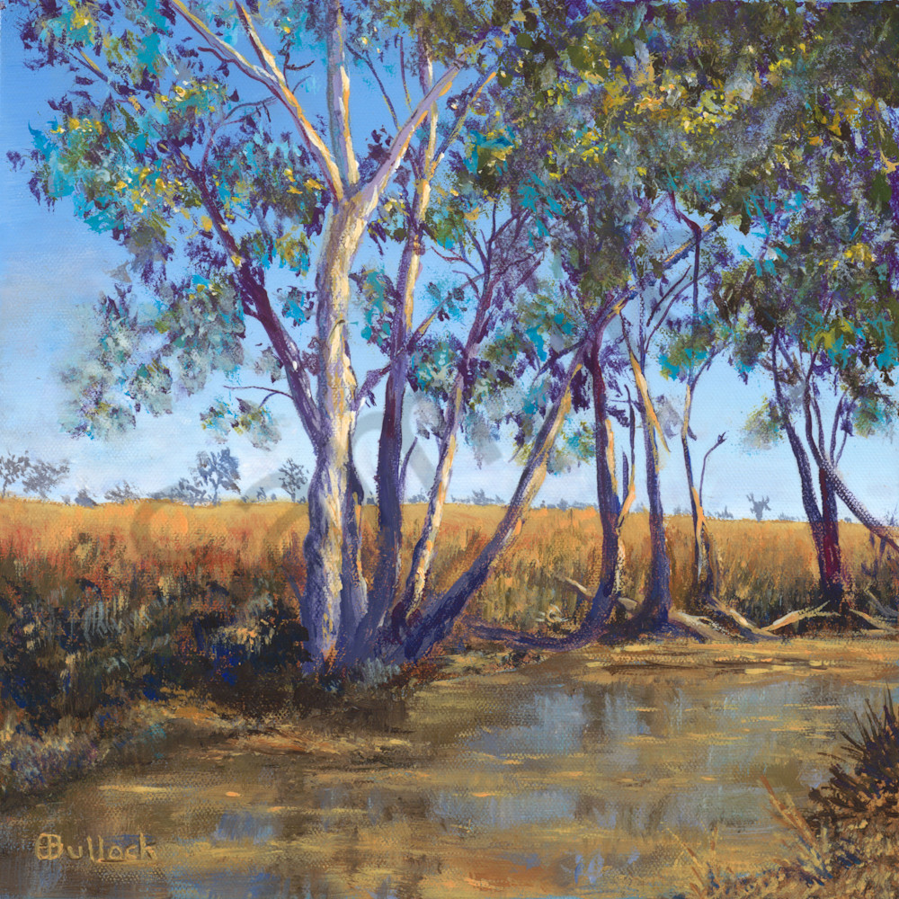 Back Creek Amby Queensland Back Creek Amby Queensland