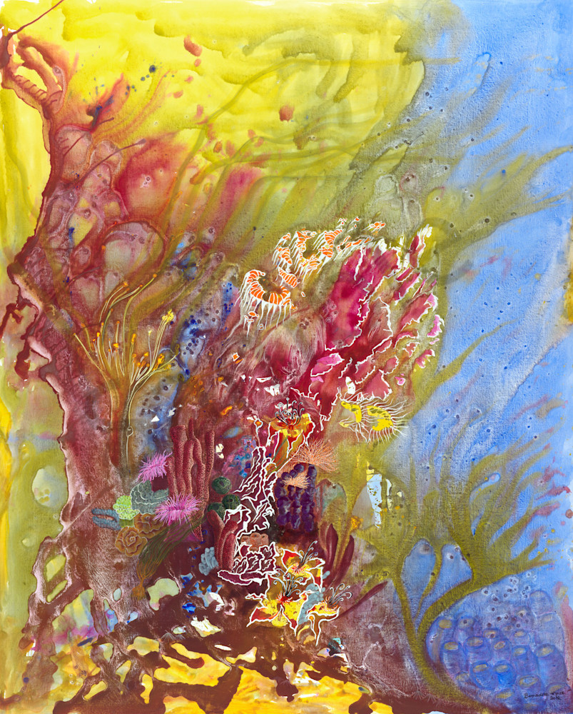 Under the Sea Under the Sea