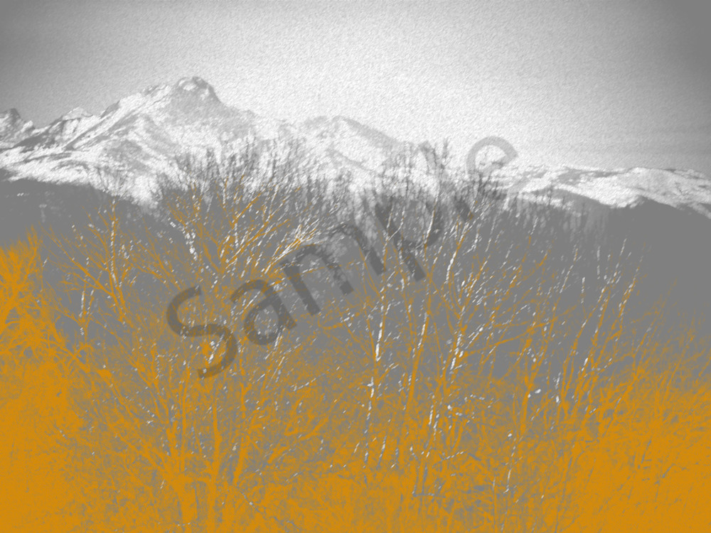 Yellow Trees Art | MANN uP Art