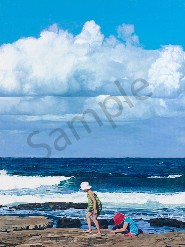 The Rock Pools The Rock Pools