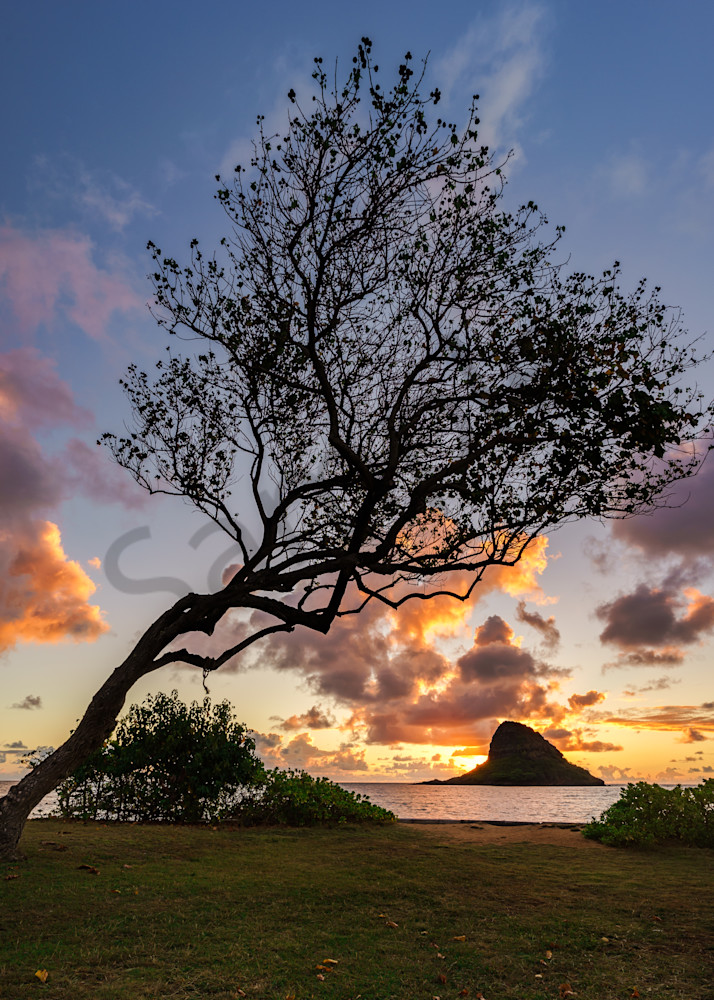 Hawaii Photography Kualoa Sunrise by Peter Tang