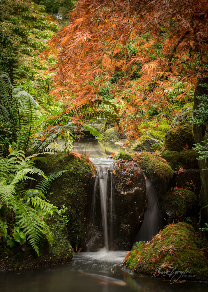Japanese Garden Creek   Autumn Photography Art | Barb Gonzalez Photography