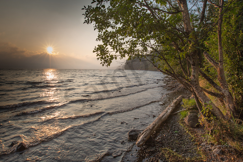 Golden shoreline over lake photo for sale |Barb Gonzalez Photography
