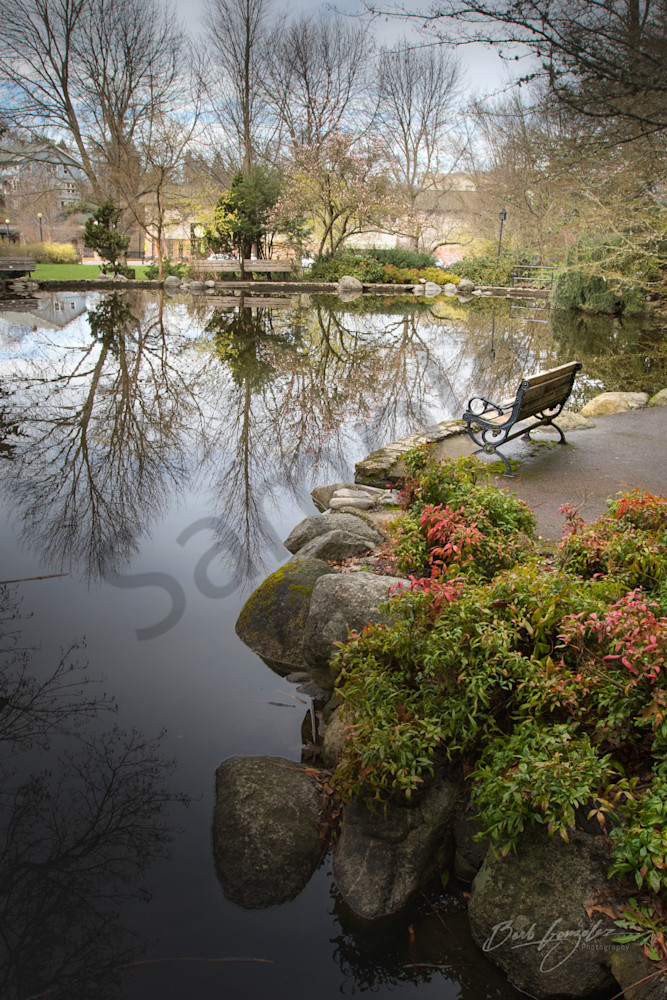 Peaceful bench and pond photo for sale |Barb Gonzalez Photography