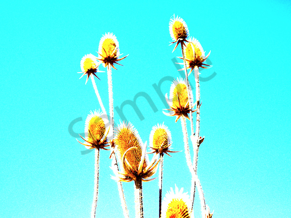 Kalirol | Photography | Dewey Mann | Photoshop | Outdoors | Dewey Mann Art | Art | Gallery | Abstract | Artist |