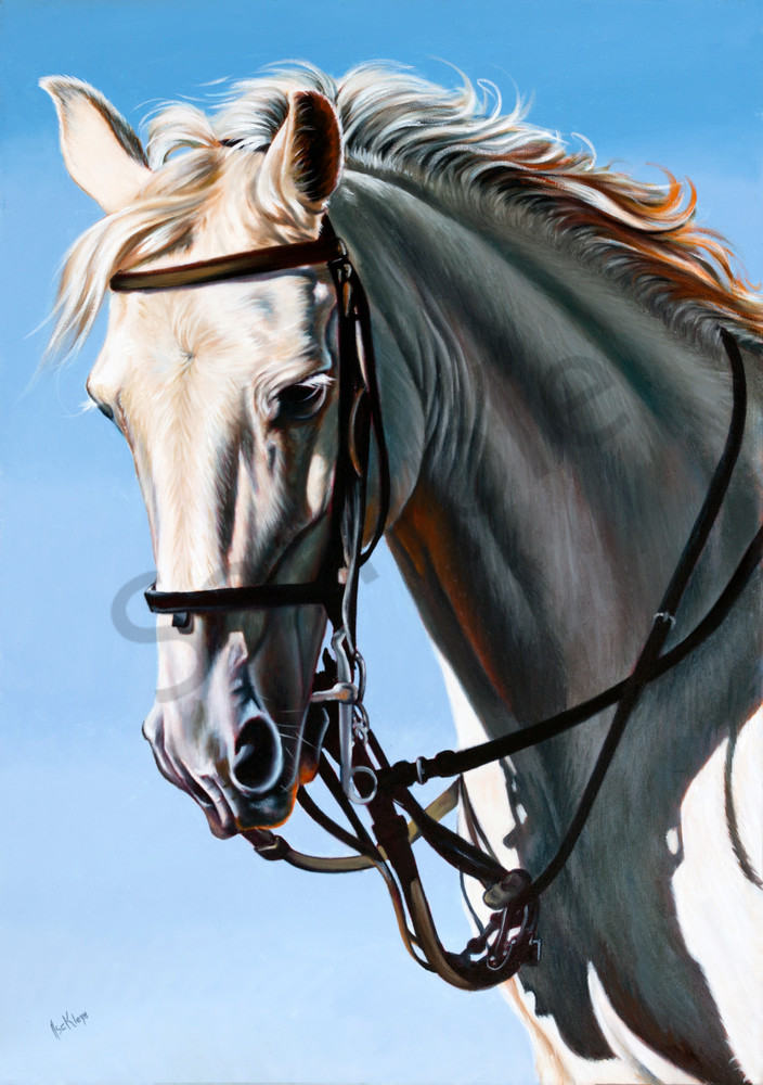 "Running With Horses" by Ilse Kleyn | Prophetics Gallery