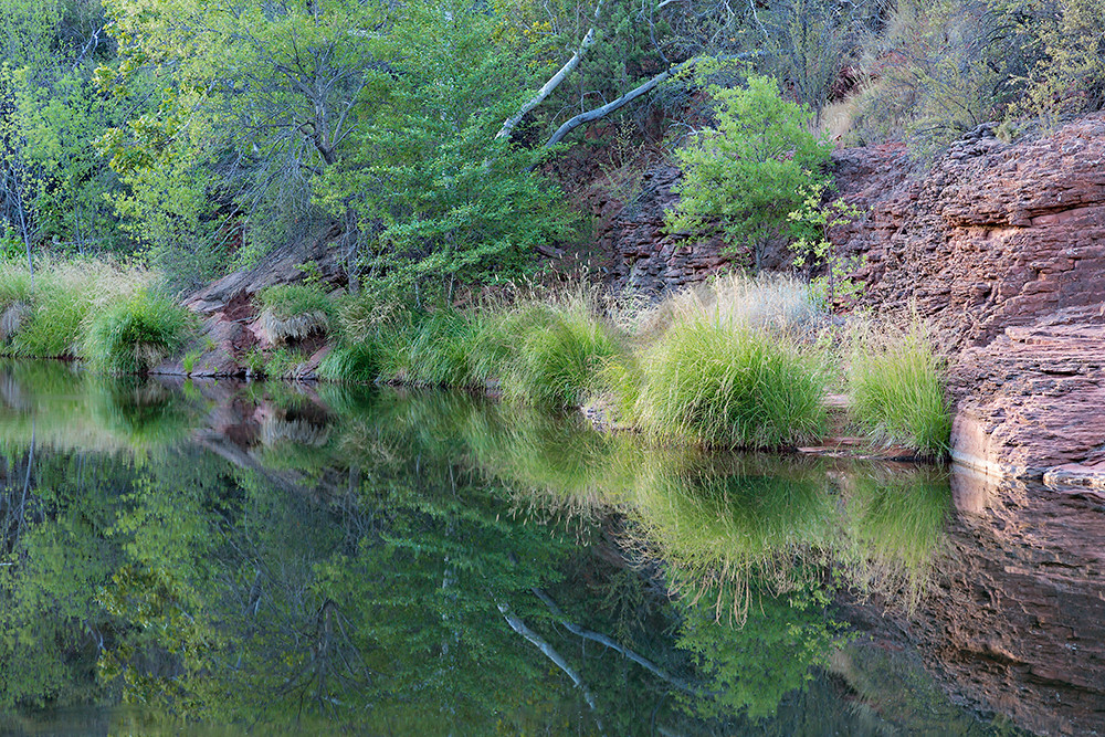 Summer on Oak Creek Summer on Oak Creek