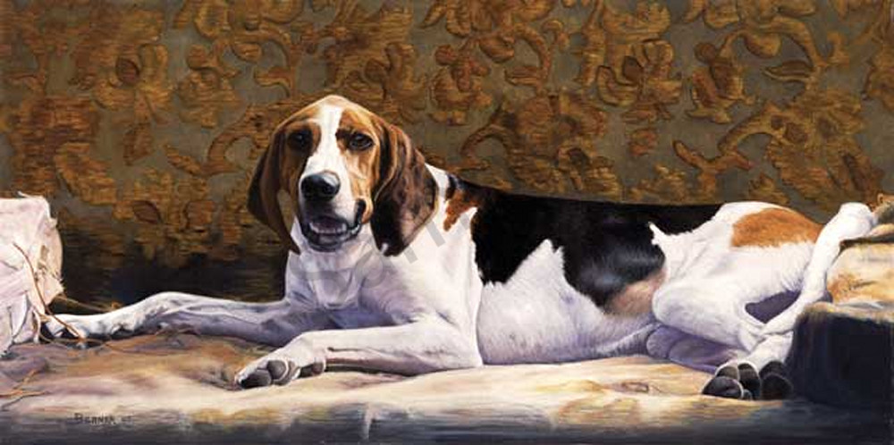 Sanctuary hound fine art print by Sally Berner.