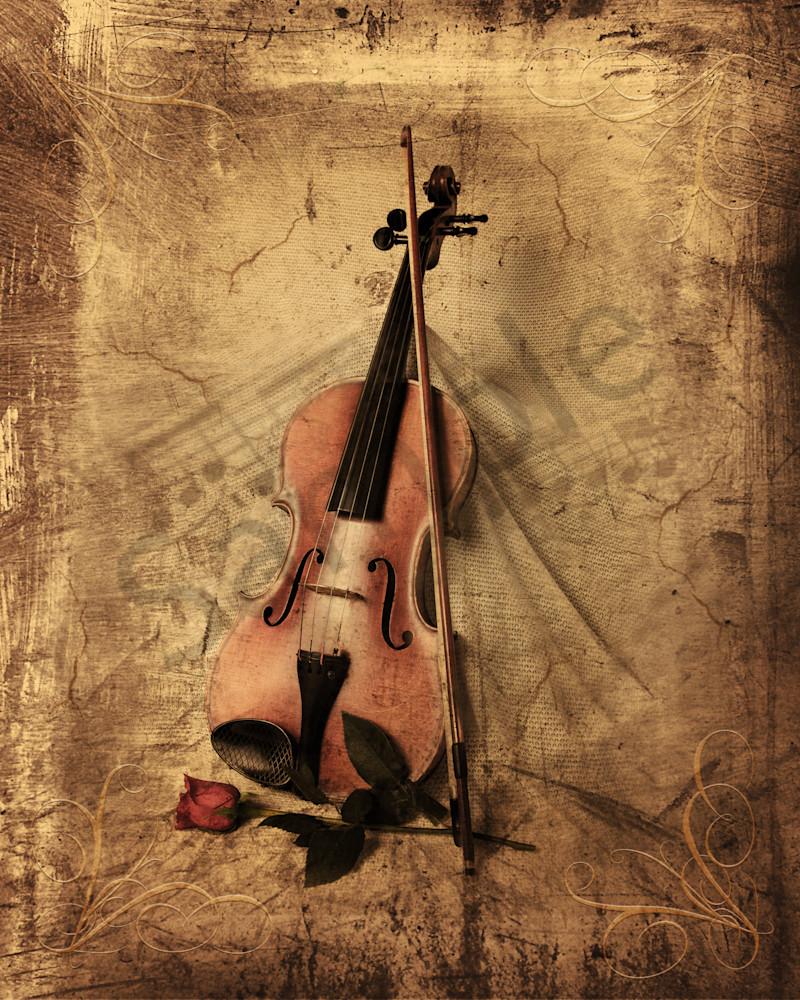 Violin and Rose