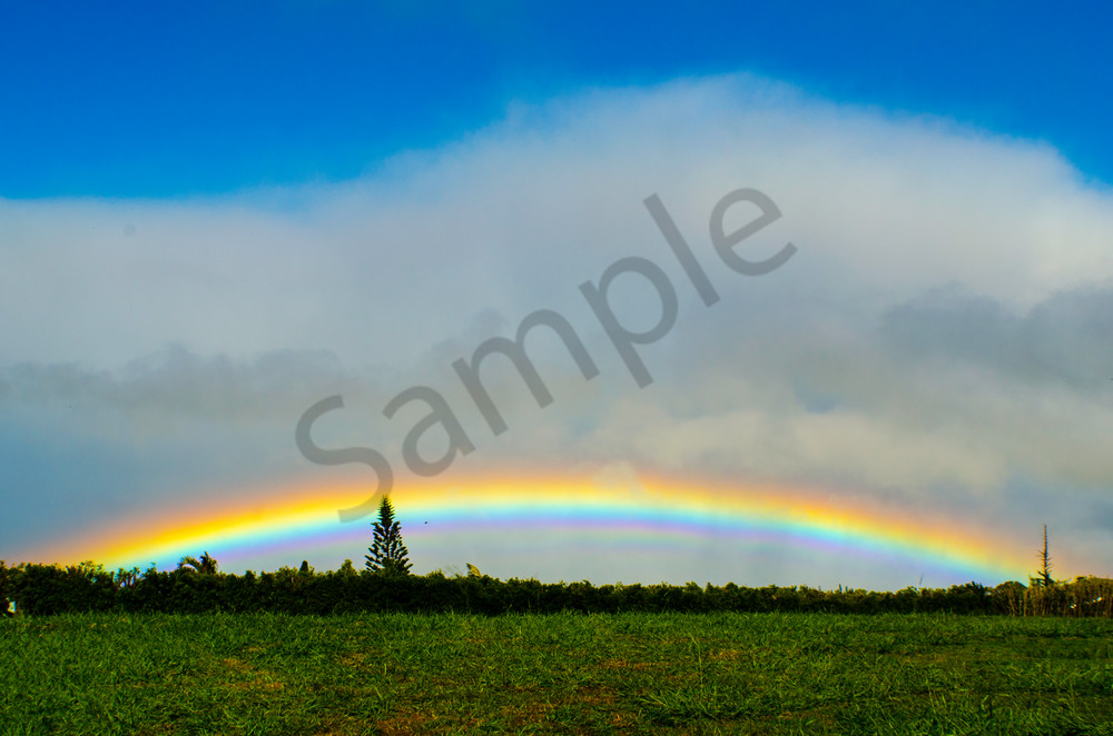 Maui Rainbow 004